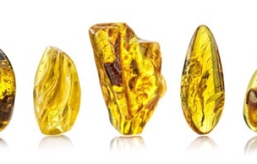 BÁU VẬT CỦA BIỂN BALTIC VÀ “KỲ QUAN THỨ TÁM” CỦA THẾ GIỚI