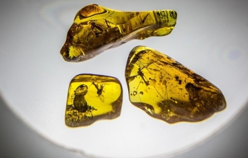 Kim Cương Máu của Nga và bên trong mỏ lớn nhất thế giới