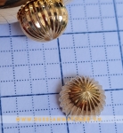 PHỤ KIỆN ĐỒNG HỒ NGA PK36