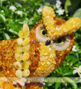 Đá quý BALTIC triệu năm HP-TV-21: Cú mèo học tập biểu tượng may mắn