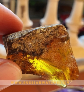 Hổ Phách Nga - Thô - HP-T-02: Đá của trời