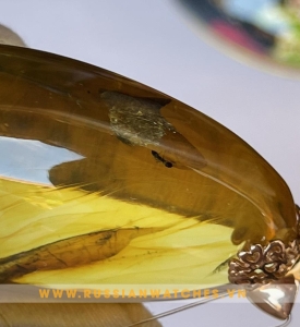 Mặt dây chuyền Hổ Phách Nga - HP-V-27: Mẫu hổ Sang trọng chứa côn trùng triệu năm 