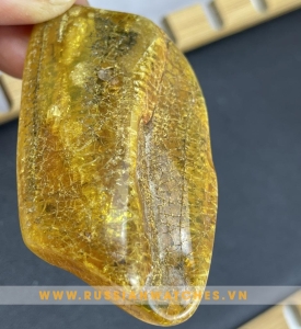 HỔ PHÁCH Baltic THÔ - HP-T-10: Thỏa sức sáng tạo hình