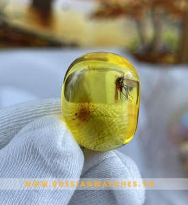 Mặt dây chuyền Hổ Phách Nga - HP-V-01 - Côn trùng 