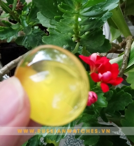 Mặt dây chuyền Hổ Phách Nga- HP-V-10