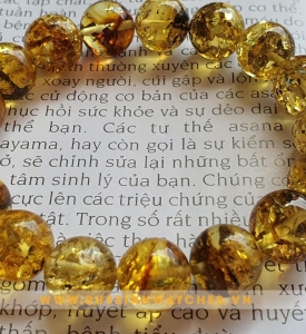 Vòng Đeo Tay Hổ Phách Baltic- HP-DT-62: Phụ kiện thời trang xinh đẹp